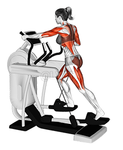 Elliptical Machine Walk demonstration