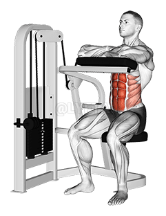Lever Seated Crunch demonstration