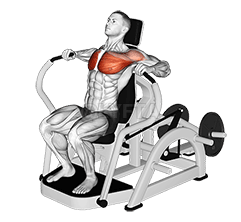 Lever Chest Press demonstration