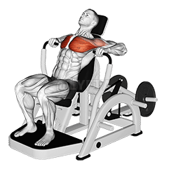 Lever Decline Chest Press demonstration