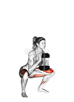 Dumbbell Goblet Squat