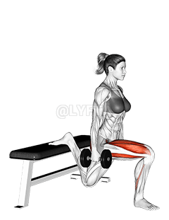 Dumbbell Bulgarian Split Squat demonstration