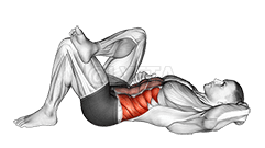 肘部至膝盖平躺 demonstration