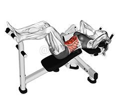 Lever Lying Crunch demonstration