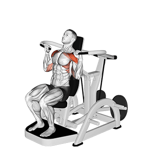 Lever Shoulder Press demonstration