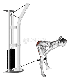 Cable Straight Legs Pull Through demonstration