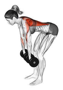 Dumbbell Pronated to Neutral Grip Row demonstration
