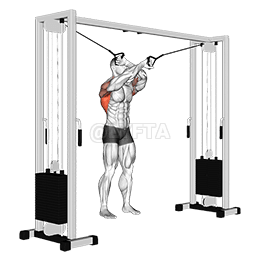 Cable Lat Pulldown Full Range Of Motion demonstration
