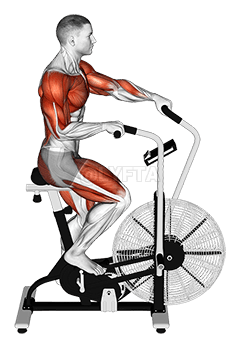 Thumbnail for the video of exercise: Bicicleta elíptica