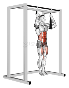 Arm slingers Hanging Straight Legs demonstration