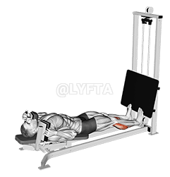 Sled Lying Calf Press demonstration