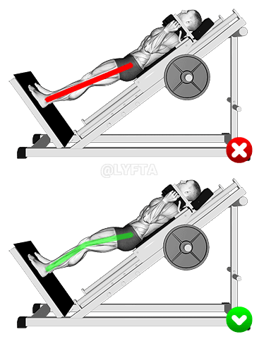 Thumbnail for the video of exercise: Sentadilla en trineo - Piernas