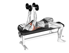 Dumbbells Straight Arm Pullover demonstration