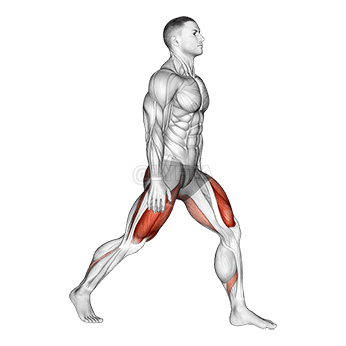 Split Squats demonstration