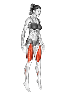 Jump Squat demonstration