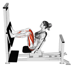 Lever Horizontal Leg Press demonstration