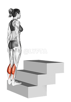 Standing Calf Raise demonstration