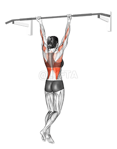 Chin-Up demonstration