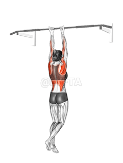 Close-Grip Chin-Up  demonstration
