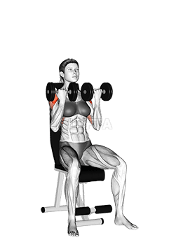 Dumbbell Arnold Press demonstration