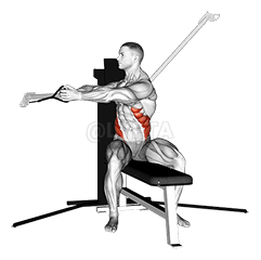 Cable Seated Twist demonstration