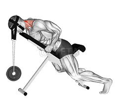 Thumbnail for the video of exercise: Súlyozott fekvő nyakkiterjesztés