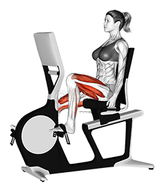 Bicycle Recline Walk demonstration