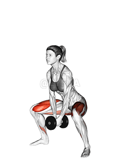 Dumbbell Bar Grip Sumo Squat demonstration