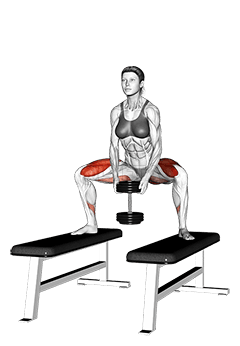 Dumbbell Sumo Squat off Benches demonstration