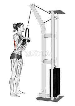 Cable Pushdown demonstration