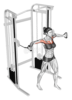 Cable Middle Fly demonstration