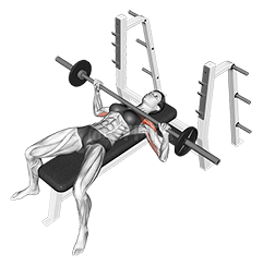 Barbell Bench Press demonstration