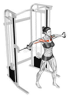 Cable Upper Chest Crossovers demonstration