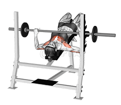 Barbell Decline Bench Press demonstration