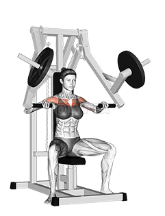 Lever Chest Press demonstration
