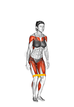 Thumbnail for the video of exercise: Джек для прыжков с полосой сопротивления