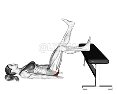 Glute Bridge One Leg on Bench demonstration