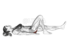 Glute Bridge One Leg on Floor demonstration