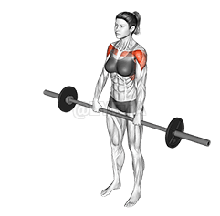 Barbell Front Raise demonstration
