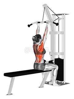 Cable Reverse Grip Pulldown demonstration