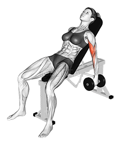 Dumbbell Incline Biceps Curl demonstration