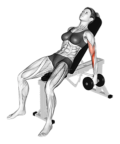 Dumbbell Incline Hammer Curl demonstration