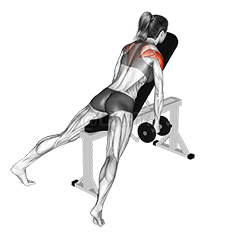 Dumbbell Incline Rear Fly demonstration