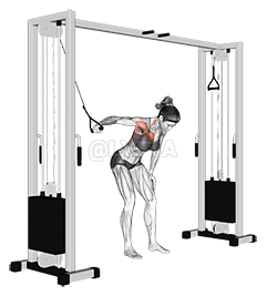 Cable One Arm Lateral Bent over demonstration