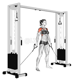 Cable Front Raise demonstration
