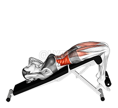 Decline Twisting Sit up demonstration