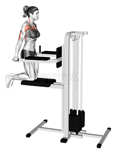 Assisted Chest Dip demonstration