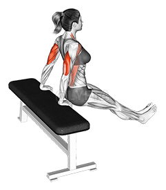 Bench dip on floor demonstration