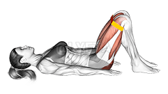 Resistance Band Glute Bridge demonstration