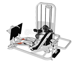 Lever Seated Calf Press demonstration